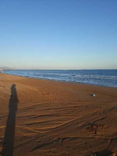 Sunshine * Triscina